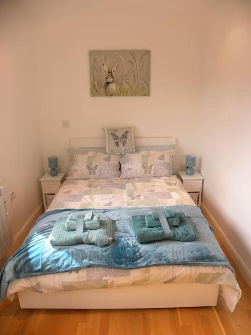 Oakey Orchard - Cosy Apartment In Tamar Valley, Cornwall Saint Dominick 外观 照片