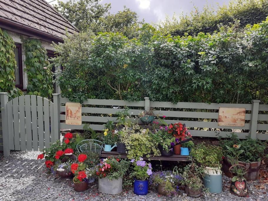Oakey Orchard - Cosy Apartment In Tamar Valley, Cornwall Saint Dominick 外观 照片
